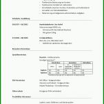 Faszinieren Lebenslauf Vorlage Deutschland 711x982