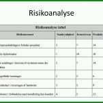 Einzahl Risikoanalyse Vorlage 960x720