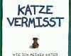 Singular Katze Vermisst Vorlage 800x1269