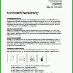 Atemberaubend Konformitätserklärung Vorlage 1017x1259