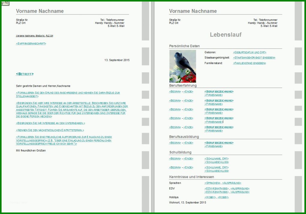 Toll Lebenslauf Vorlage Libreoffice 1219x852