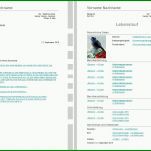 Toll Lebenslauf Vorlage Libreoffice 1219x852