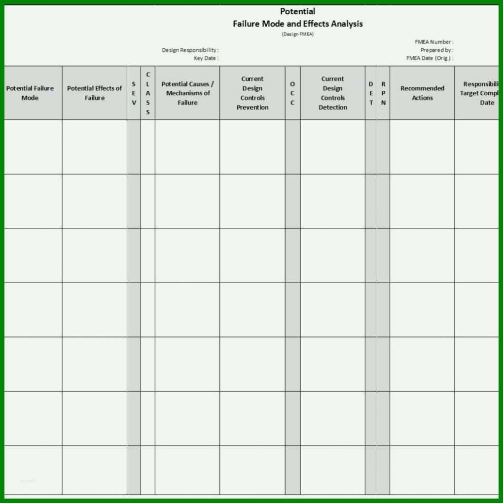 Atemberaubend Fmea Vorlagen 1024x1024