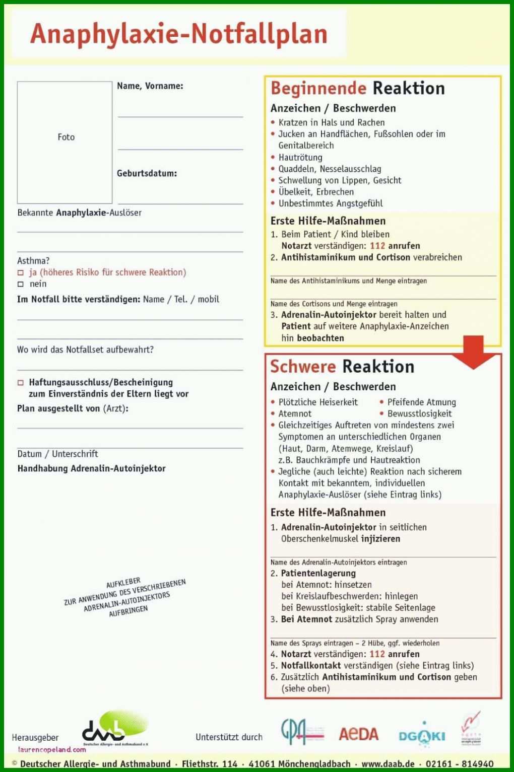 Einzahl It Notfallplan Vorlage 1132x1701