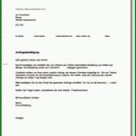 Selten Auftrag Vorlage Pdf 1033x1460