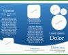 Toll Flyer Vorlagen Download 800x560