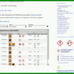 Schockierend Gefahrstoffkataster Vorlage 750x584