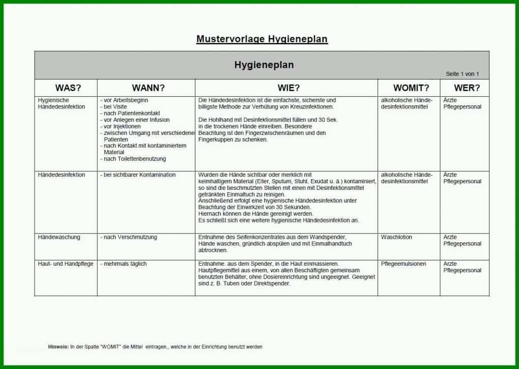Ideal Hygieneplan Vorlage 1267x900