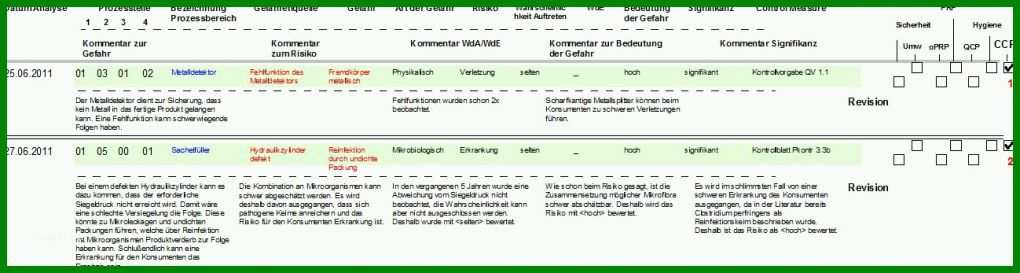 Perfekt Gefahrenanalyse Vorlage 1298x347