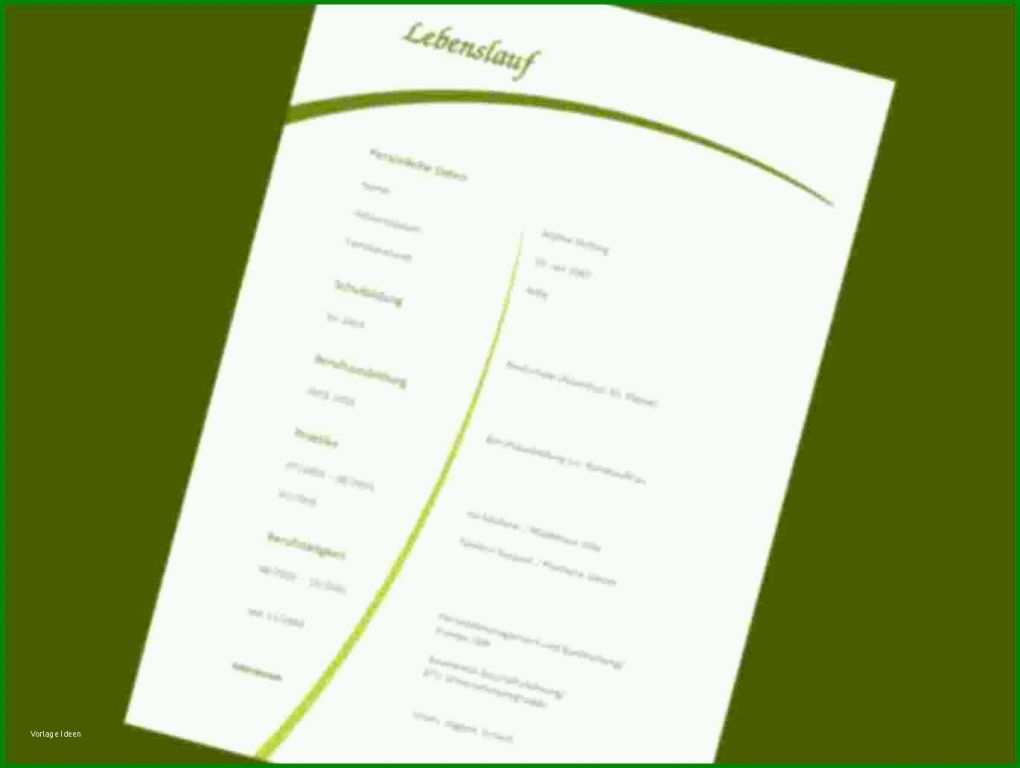 Unvergleichlich Lebenslauf Indesign Vorlage Kostenlos 1370x1031