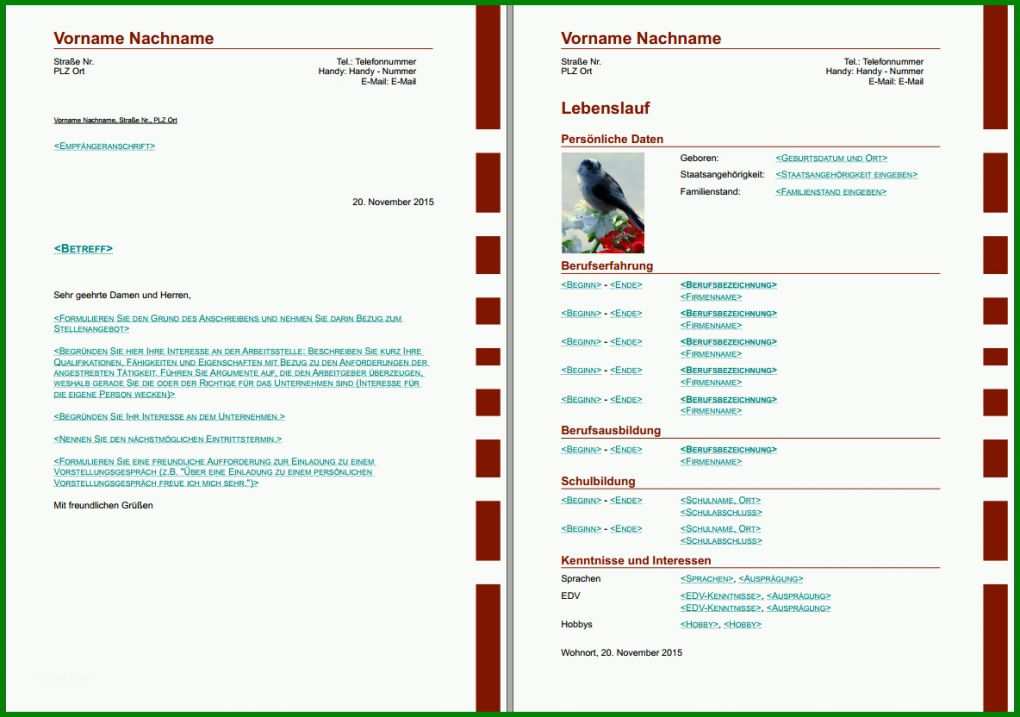 Erstaunlich Lebenslauf Vorlage Libreoffice 1184x832