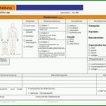 Faszinierend Pflegeplanung Vorlage Word 1215x858