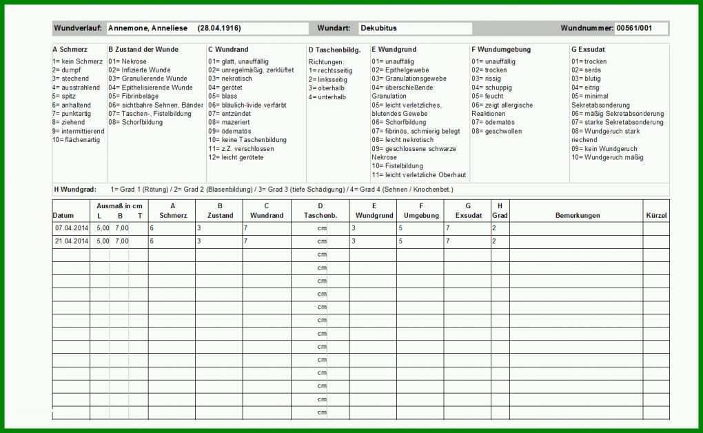 Selten Wunddokumentation Vorlage 1401x863