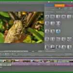 Staffelung Adobe Premiere Vorlagen 745x559