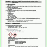 Fabelhaft Sicherheitsdatenblatt Englisch Vorlage 1200x1706