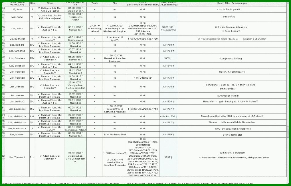 Rühren Stammbaum Vorlage Excel 1249x800