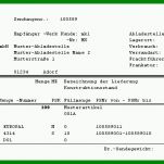 Faszinierend Warenbegleitschein Vorlage 795x392