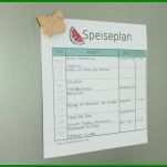 Schockierend Speiseplan Erstellen Vorlage 1024x707