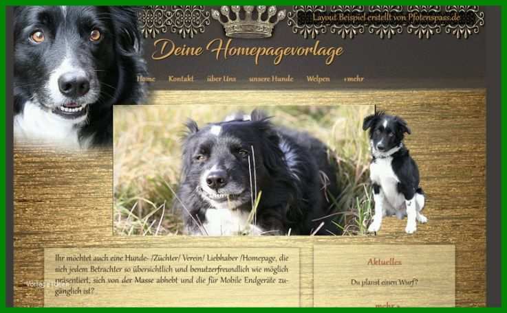 Beste Hunde Homepage Vorlagen 800x495