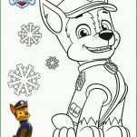 Rühren Paw Patrol Vorlage 2489x3532