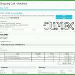 Ausnahmsweise Proforma Rechnung Vorlage 715x675