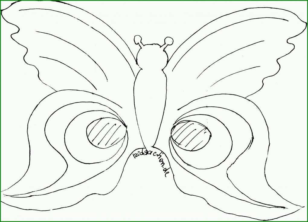 Spezialisiert Tiermasken Vorlagen 3486x2513