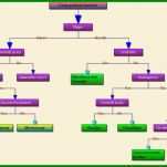 Atemberaubend Vorlage Familienstammbaum 1250x742