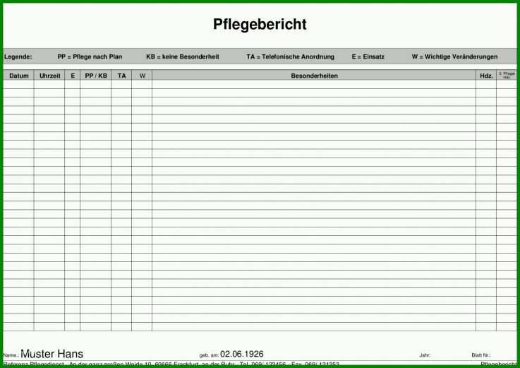 Hervorragend Pflegebericht Vorlage 1497x1058