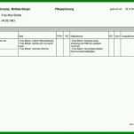 Spektakulär Pflegeplanung Leere Vorlage 800x565