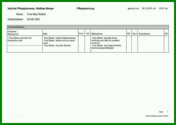Spektakulär Pflegeplanung Leere Vorlage 800x565