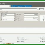 Auffällig Projektmanagement Access Vorlage 838x600