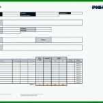 Selten Projektmanagement Handbuch Vorlage 800x565