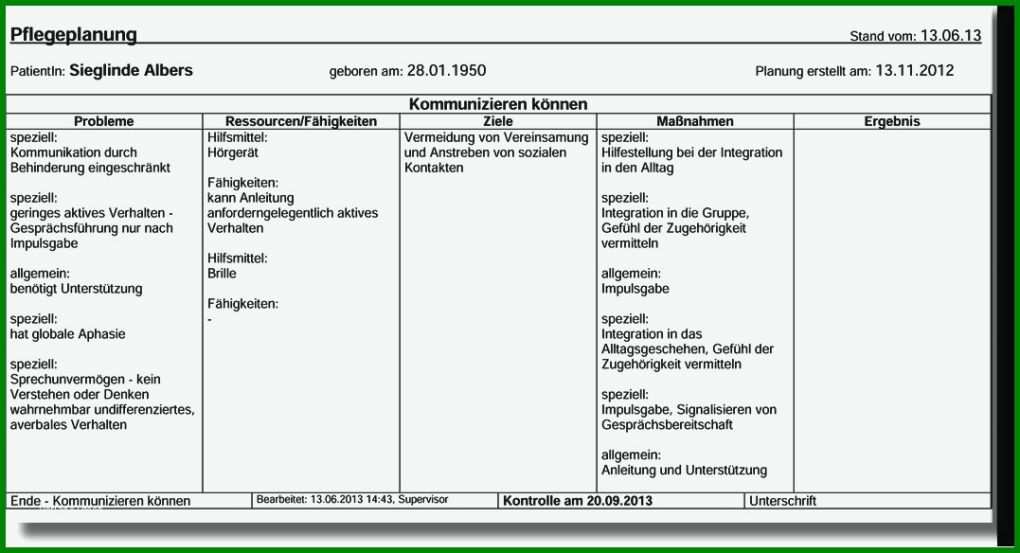 Ausgezeichnet Pflegeplanung Vorlage Word 1077x584