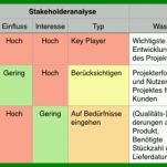 Allerbeste Stakeholderanalyse Vorlage 900x254