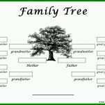 Bemerkenswert Vorlage Für Stammbaum 1176x635