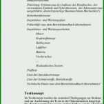 Allerbeste Betriebshandbuch Vorlage Word 960x1619