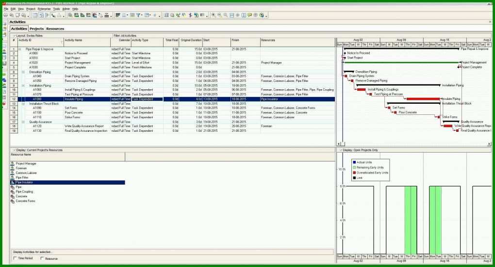 Überraschend Excel Vorlage Projekt 1901x1027