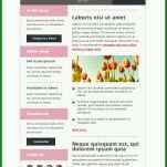 Empfohlen Newsletter E Mail Vorlage 800x1261