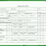 Auffällig Testplan Vorlage Excel 784x570