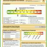 Atemberaubend Vorlage Energieausweis 1191x1595