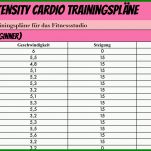 Staffelung Vorlage Trainingsplan Fitnessstudio 1600x794