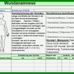 Schockierend Maßnahmenplan Vorlage Pflege 800x378