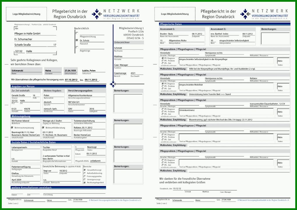 Schockieren Pflegebericht Vorlage Muster 1527x1080