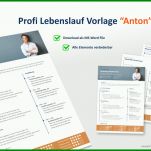 Selten Professioneller Lebenslauf Vorlage Word 994x588